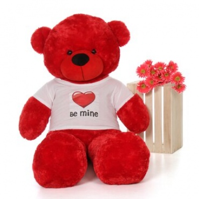 5 Feet Big Red Teddy Bear Wearing Be Mine T-Shirt 60 Inch T-shirt Teddy You're Personalized Message Teddy Bears