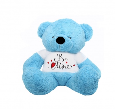 2 Feet Big Sky Blue Teddy Bear Wearing Be Mine T-Shirt You're Personalized Message Teddy Bears