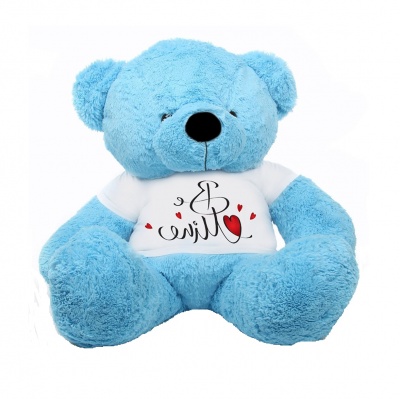 3 Feet Big Sky Blue Teddy Bear Wearing Be Mine T-Shirt 36 Inch T-shirt Teddy You're Personalized Message Teddy Bears