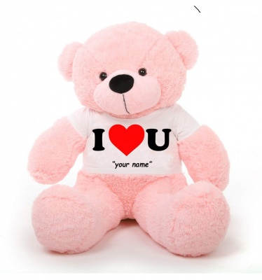 4 Feet Big Pink Teddy Bears Wearing Love T-Shirt 48 Inch T-shirt Teddy You're Personalized Message Teddy Bears