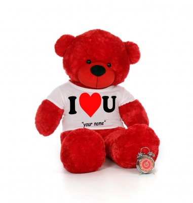 4 Feet Big Red Teddy Bears Wearing Love T-Shirt 48 Inch T-shirt Teddy You're Personalized Message Teddy Bears