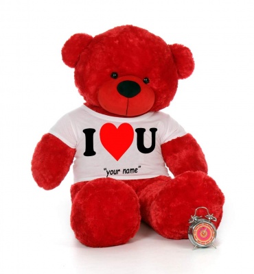 5 Feet Big Red Teddy Bear Wearing Love T-Shirt 60 Inch T-shirt Teddy You're Personalized Message Teddy Bear