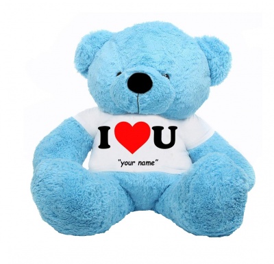4 Feet Big Sky Blue Teddy Bears Wearing Love T-Shirt 48 Inch T-shirt Teddy You're Personalized Message Teddy Bears