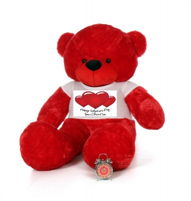 4 Feet Big Red Teddy Bears Wearing Valentine's Day T-Shirt, 48 Inch T-shirt Teddy, You're Personalized Message Teddy Bears