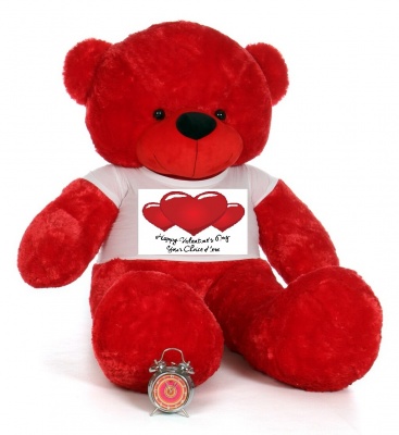 6 Feet Big Red Teddy Bear Wearing Valentine's Day T-Shirt 72 Inch T-shirt Teddy You're Personalized Message Teddy Bears