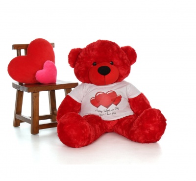 2 Feet Big Red Teddy Bear Wearing Valentine's Day T-Shirt You're Personalized Message Teddy Bears
