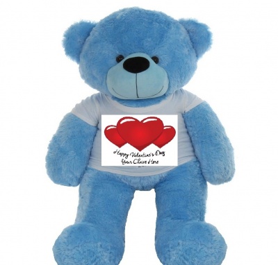 4 Feet Big Sky Blue Teddy Bears Wearing Valentine's Day T-Shirt, 48 Inch T-shirt Teddy, You're Personalized Message Teddy Bears