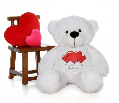 3 Feet Big White Teddy Bear Wearing Valentine's Day T-Shirt 36 Inch T-shirt Teddy You're Personalized Message Teddy Bears