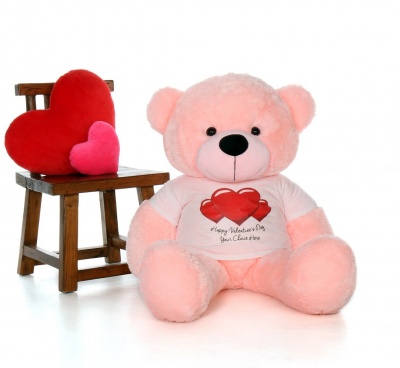 3 Feet Big Pink Teddy Bear Wearing Valentine's Day T-Shirt 36 Inch T-shirt Teddy You're Personalized Message Teddy Bears