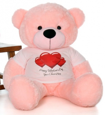 5 Feet Big Pink Teddy Bear Wearing Valentine's Day T-Shirt, 60 Inch T-shirt Teddy, You're Personalized Message Teddy Bear