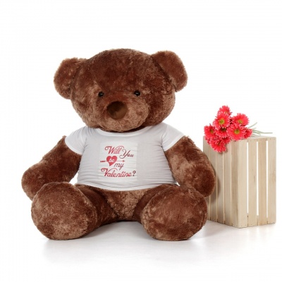 2 Feet Big Chocolate Teddy Bear Wearing Valentine's Day T-Shirt You're Personalized Message Teddy Bears