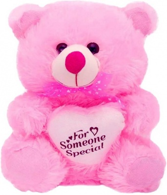 Pink Heart Teddy Bear Soft Toy- 30 cm, Pink Teddy Bears